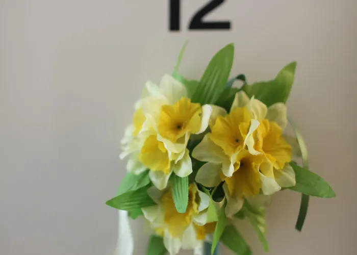 Weber Отель Амстердам